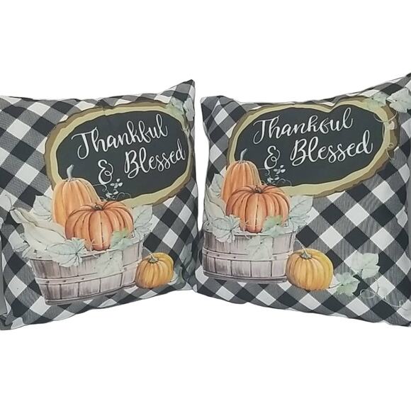 NWT Thankful Blessed Pumpkin Fall Pillow Covers - Picture 1 of 2